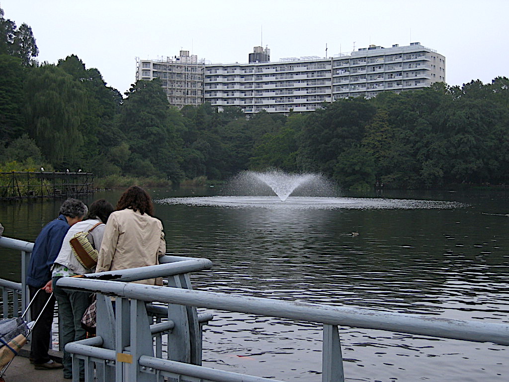 Bassin du parc d inogashira