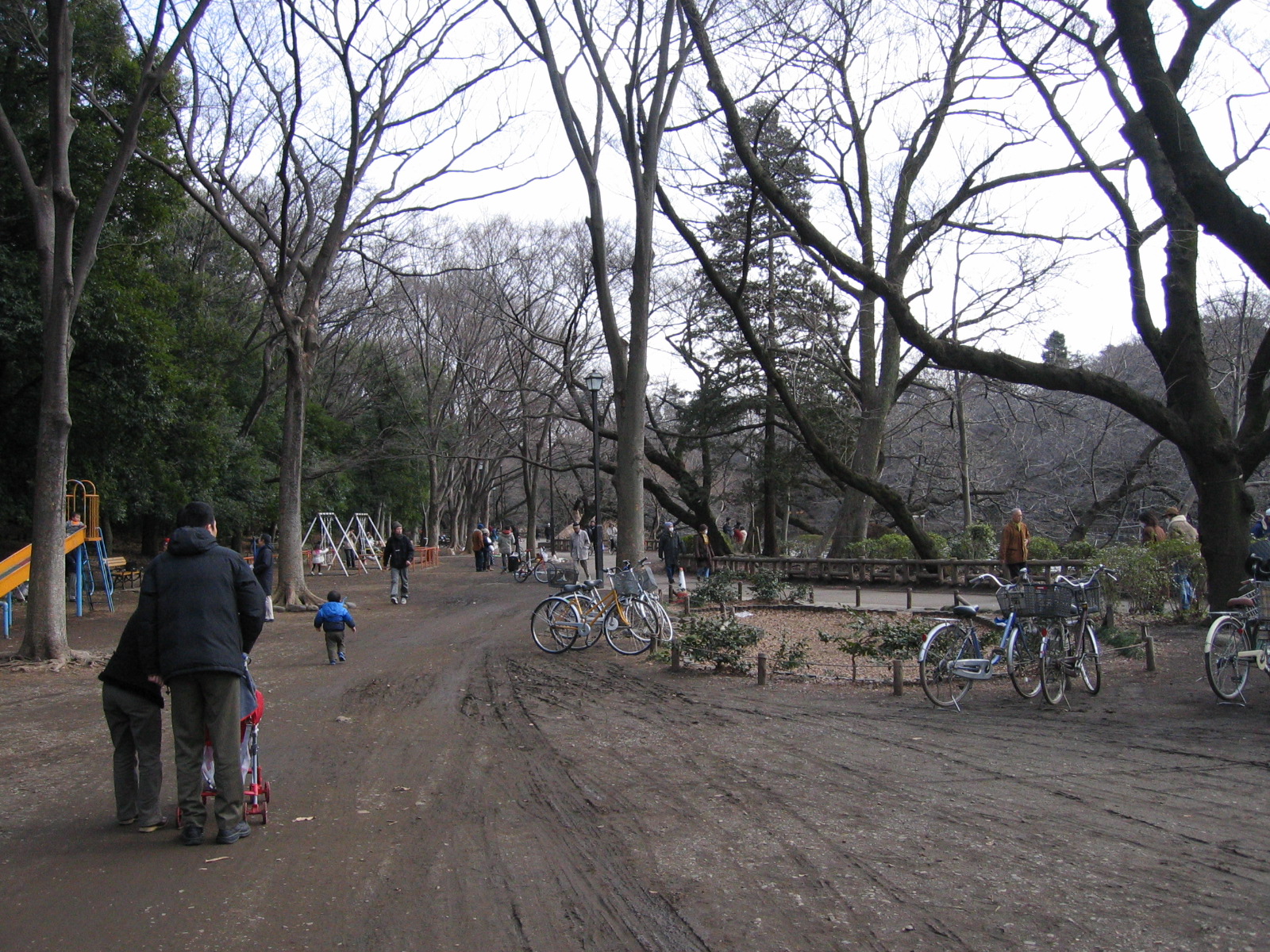 Parc d inokashira Kichijoji Mitaka